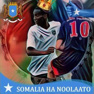 Meet your Posher, Hamze